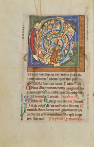 Inhabited Initial C by Unknown artist