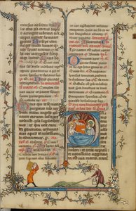 Initial P: The Nativity by Unknown artist