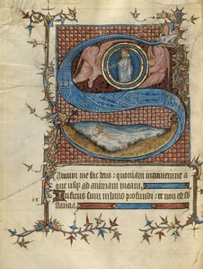 Initial S: David in the Water by Unknown artist