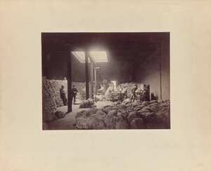 Interior of Wool Sorting House, Walter Brown and Company