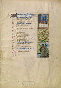 January Calendar Page; Feasting; Aquarius