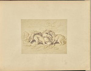 Jezebel by Unknown artist