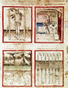 Joseph interprets the dreams of the basket maker who ends his head cut. At the top right, the pharaoh dreams of the seven fat cows, premonition of the years of abundance and the seven lean cows of the years of starvation by Unknown artist
