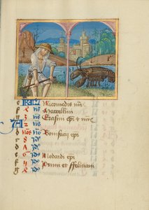 June Calendar Page; Mowing; Cancer by Unknown artist