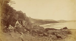 Laguna Dawson Island