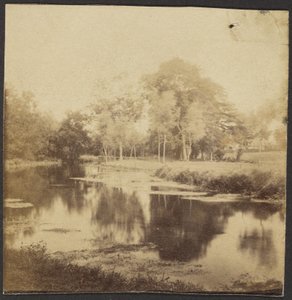 Landscape with Pond
