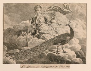 The Peacock Complaining to Juno from La Fontaine