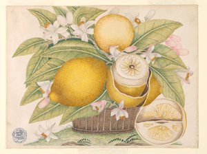 Lemons and Lemon Blossoms in a Basket
