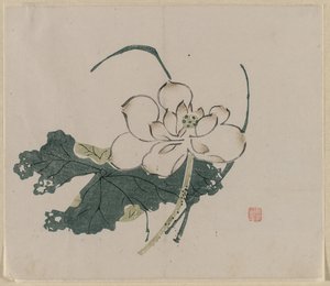 Lotus Blossom by Unknown artist