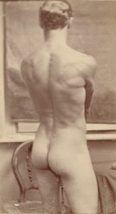 Male Nude Study by Unknown artist