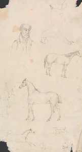 Man, Horses and Dogs