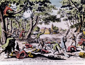 Marauders shot by peasants