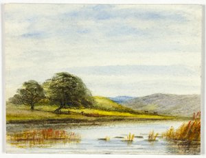 Marshy Landscape