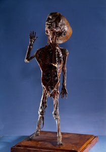 Medicine: Peel Figurine by Unknown artist