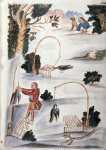 Method to catch birds in lasso, from the book "Trujillo del Peru" or "Códice Martínez Compañón", by Baltazar Martinez Compañón y Bujanda, bishop of Trujillo (1782-1785)
