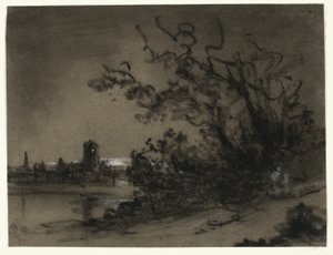 Moonlight Scene