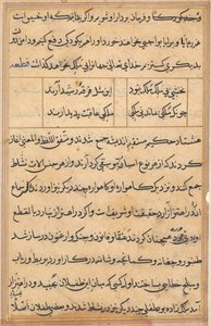 Page from Tales of a Parrot (Tuti-nama): text page by Unknown artist
