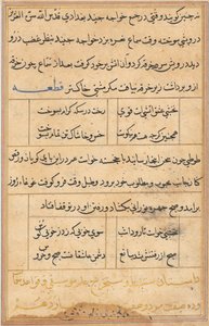 Page from Tales of a Parrot (Tuti-nama): text page by Unknown artist