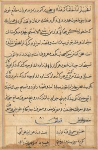 Page from Tales of a Parrot (Tuti-nama): text page by Unknown artist