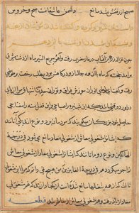 Page from Tales of a Parrot (Tuti-nama): text page by Unknown artist