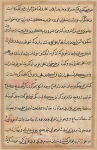 Page from Tales of a Parrot (Tuti-nama): text page by Unknown artist
