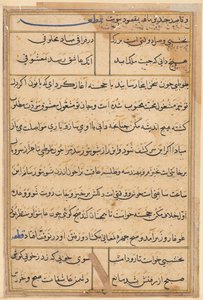 Page from Tales of a Parrot (Tuti-nama): text page