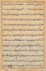 Page from Tales of a Parrot (Tuti-nama): text page by Unknown artist