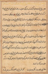 Page from Tales of a Parrot (Tuti-nama): text page by Unknown artist