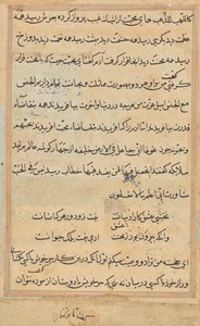 Page from Tales of a Parrot (Tuti-nama): text page by Unknown artist