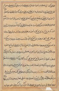 Page from Tales of a Parrot (Tuti-nama): text page by Unknown artist