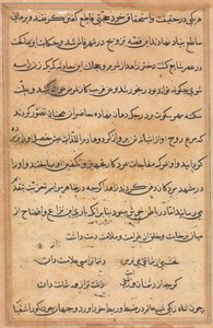 Page from Tales of a Parrot (Tuti-nama): text page by Unknown artist