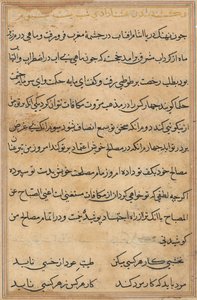 Page from Tales of a Parrot (Tuti-nama): text page by Unknown artist