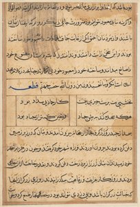 Page from Tales of a Parrot (Tuti-nama): text page by Unknown artist