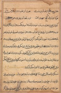 Page from Tales of a Parrot (Tuti-nama): text page by Unknown artist