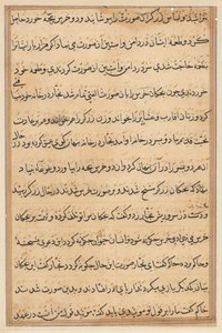 Page from Tales of a Parrot (Tuti-nama): text page by Unknown artist