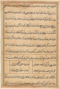Page from Tales of a Parrot (Tuti-nama): text page by Unknown artist
