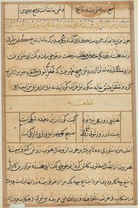 Page from Tales of a Parrot (Tuti-nama): text page by Unknown artist