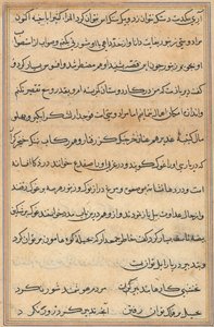 Page from Tales of a Parrot (Tuti-nama): text page by Unknown artist