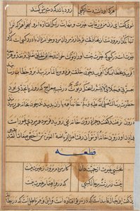 Page from Tales of a Parrot (Tuti-nama): text page by Unknown artist