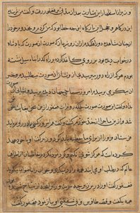 Page from Tales of a Parrot (Tuti-nama): text page by Unknown artist