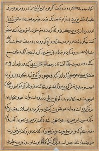 Page from Tales of a Parrot (Tuti-nama): text page by Unknown artist