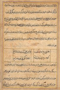 Page from Tales of a Parrot (Tuti-nama): text page by Unknown artist