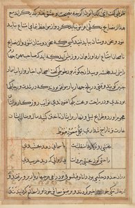 Page from Tales of a Parrot (Tuti-nama): text page by Unknown artist