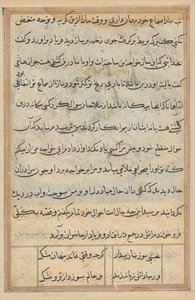 Page from Tales of a Parrot (Tuti-nama): text page by Unknown artist