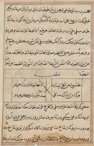 Page from Tales of a Parrot (Tuti-nama): text page by Unknown artist