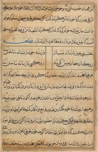 Page from Tales of a Parrot (Tuti-nama): text page by Unknown artist