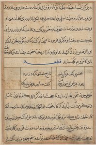 Page from Tales of a Parrot (Tuti-nama): text page by Unknown artist