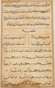 Page from Tales of a Parrot (Tuti-nama): text page by Unknown artist