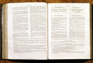 Pages of the Civil Code of Napoleon. In French and Italian by Unknown artist