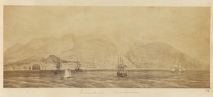 Panorama of the Port, Funchal, Madeira by Unknown artist